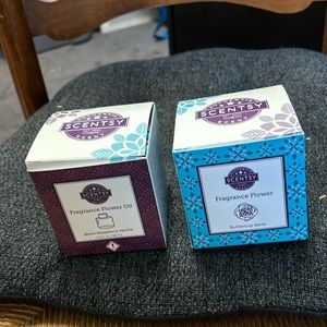 Scentsy Fragrance Flower w/ scent